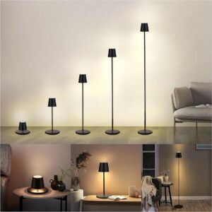 BestLuz Floor Lamp LED