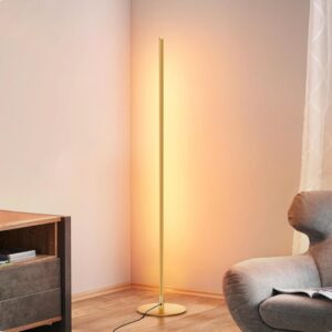 EDISHINE Floor Lamp