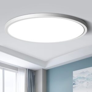 LED Flush Mount Ceiling Light