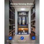 Leselux Battery Ceiling Light-3