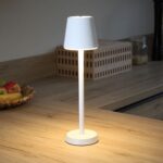 Seecode 20324 LED Table Lamp-3