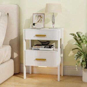 Tltaroni Nightstand with 2 Drawers