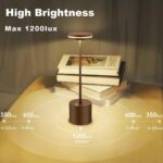 bravzurg Rechargeable Table Lamp-2