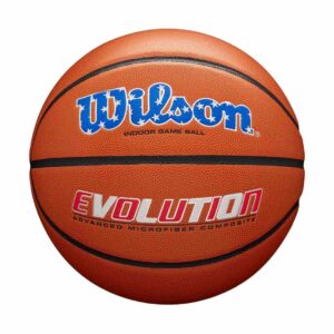 Wilson Evolution Indoor Game Ball โ USA Edition