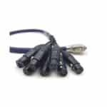 DB25 to XLR Female Snake Cable-2