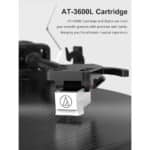 RetroAudio Black&Golden