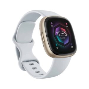 Fitbit Sense 2 ( Blue Mist/Pale Gold)