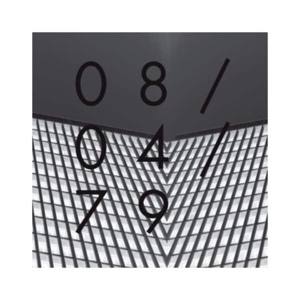 YMO LIVE AT THE GREEK THEATRE