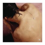 Gatefold Harry Styles -2