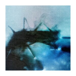 Thornhill - Bodies Blue/Black