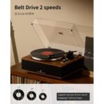 ANGELS HORN Vinyl Record Player wood