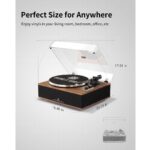 ANGELS HORN Vinyl Record Player woods