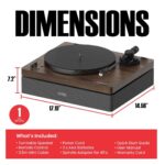 AudioSource Vinyl Record Player