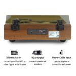 DLITIME Vinyl Record Player-3