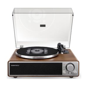 ONE-Q All-in-one Vinyl Record Player (Walnut)